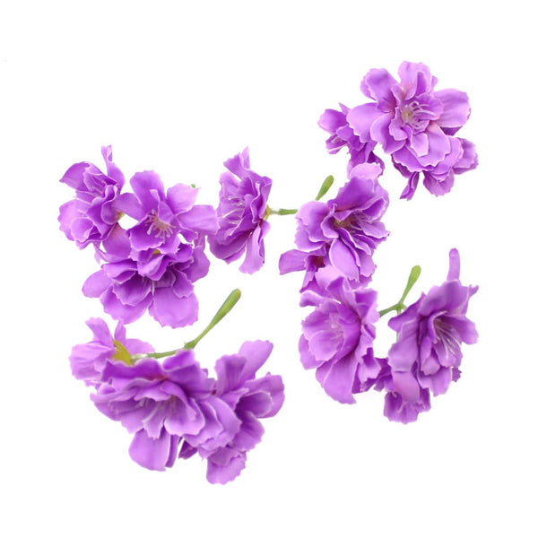 flor celia malva