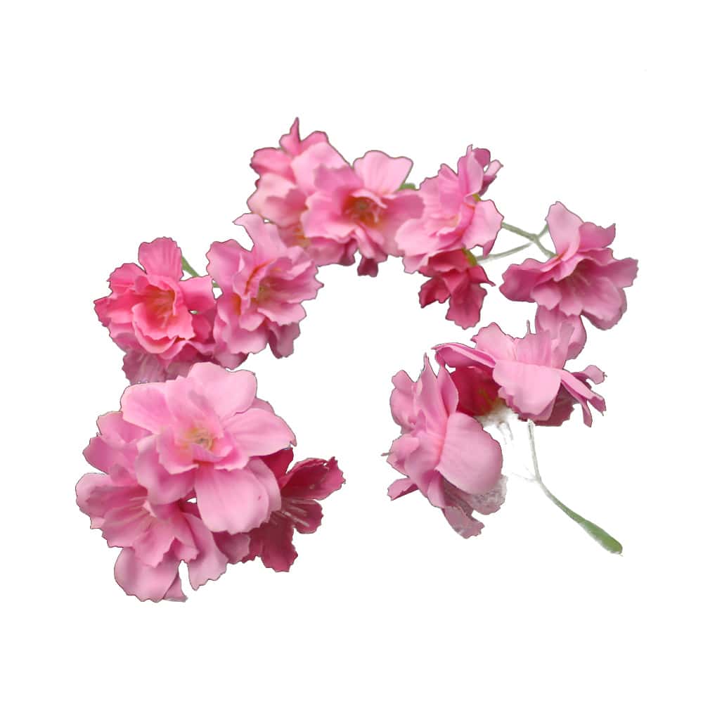 flor celia rosa