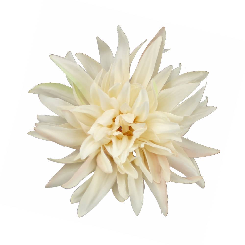 flor dalia teodora crudo