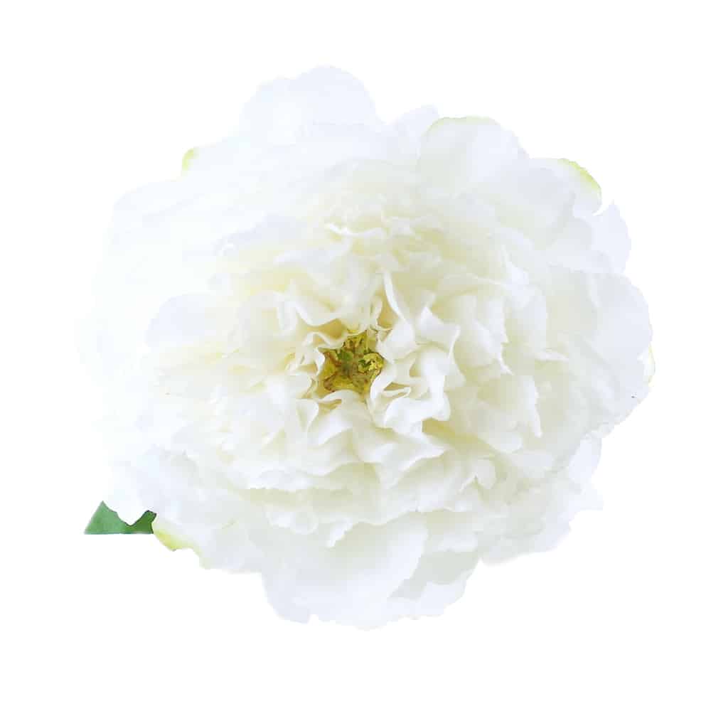 flor paula 16 cm crudo
