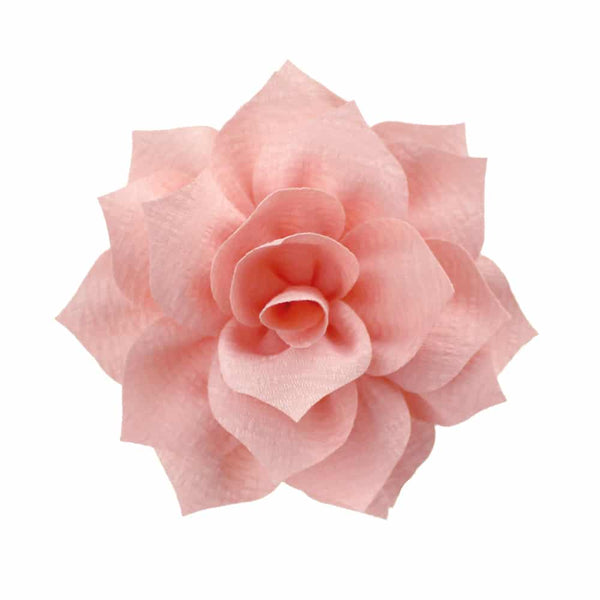 flor stella rosa
