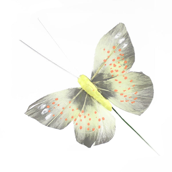 mariposa colias amarillo