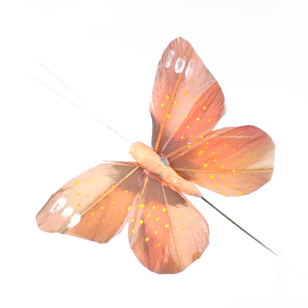 mariposa colias naranja