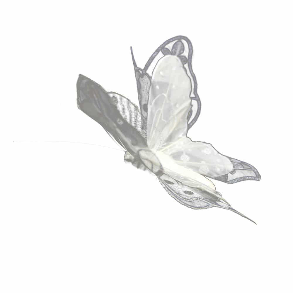 mariposa xxl crudo