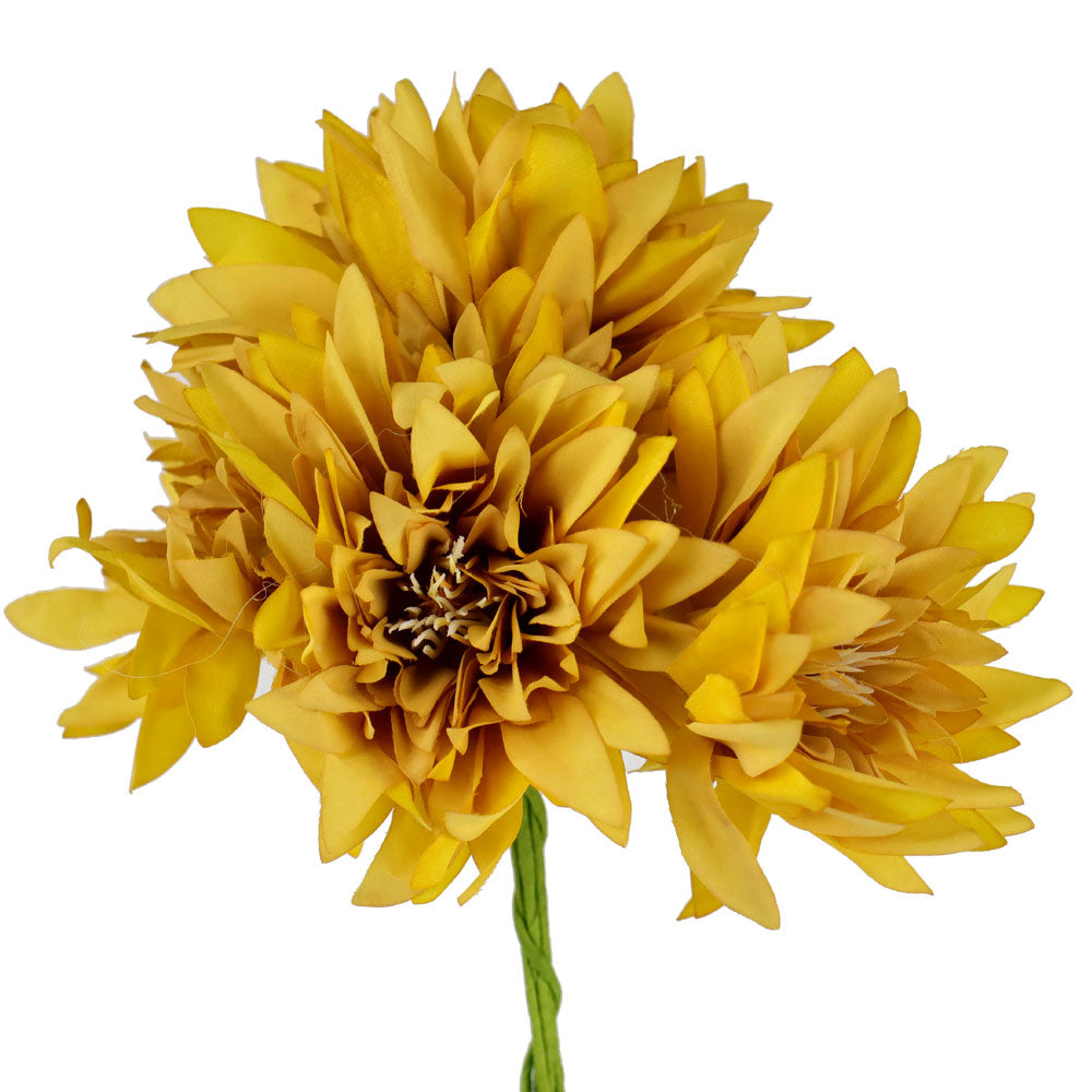 mini dalias MOSTAZA