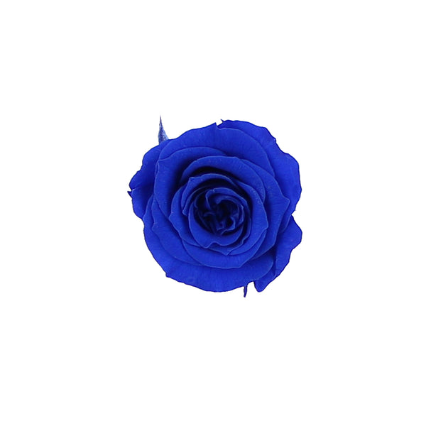 096- Azul klein