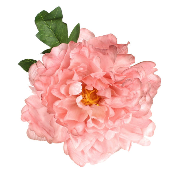 peonia noemi 14 cm rosa