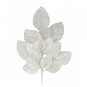 Vista 7