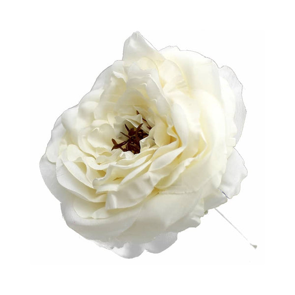 rosa evelyn crudo