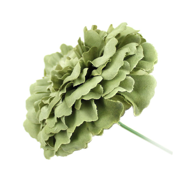 zinnia 7 cm