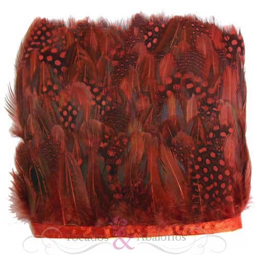 Fleco guinea y faisan Fleco guinea y faisan