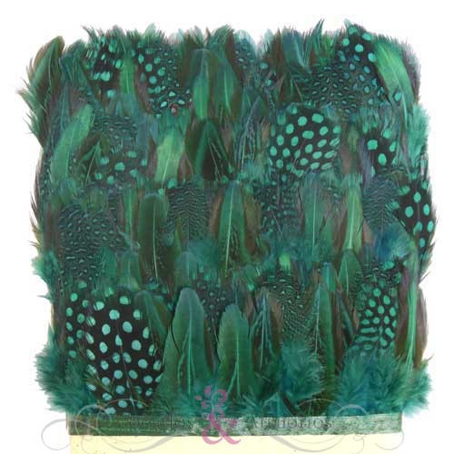 Fleco guinea y faisan Fleco guinea y faisan