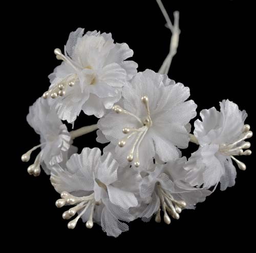 Florecillas con pistilos Florecillas con pistilos