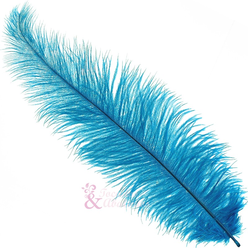 Pluma Avestruz 35/40 CM Pluma Avestruz 35/40 CM
