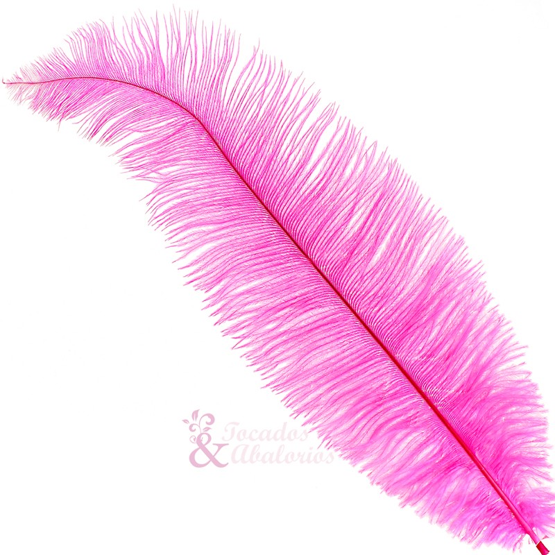 Pluma Avestruz 35/40 CM Pluma Avestruz 35/40 CM