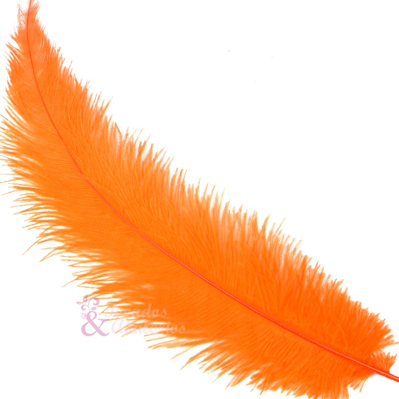 Pluma Avestruz 35/40 CM Pluma Avestruz 35/40 CM