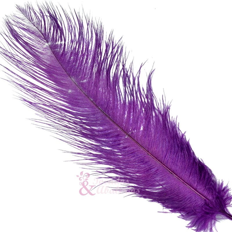 Pluma Avestruz 35/40 CM Pluma Avestruz 35/40 CM