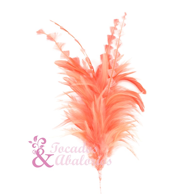 Pomo Lagrange Pomo Lagrange