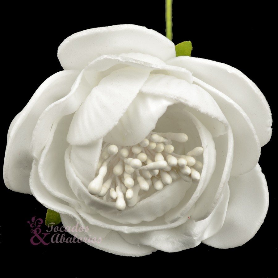 ROSAPOLA 7 cm. ROSAPOLA 7 cm.