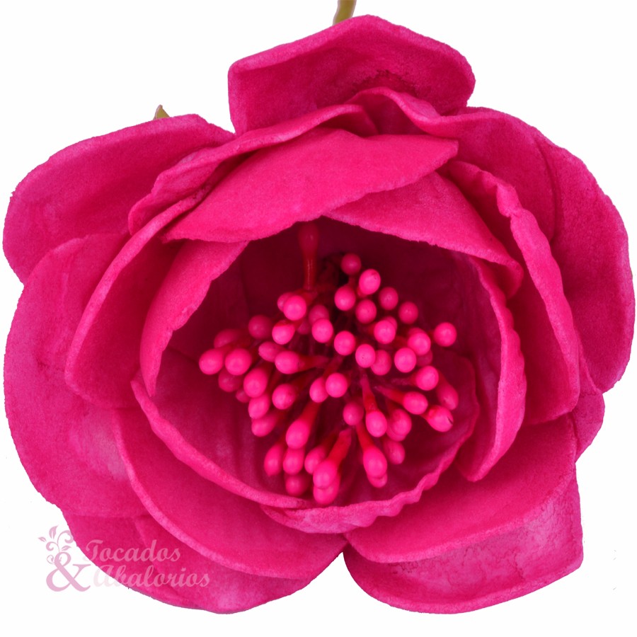 ROSAPOLA 7 cm. ROSAPOLA 7 cm.