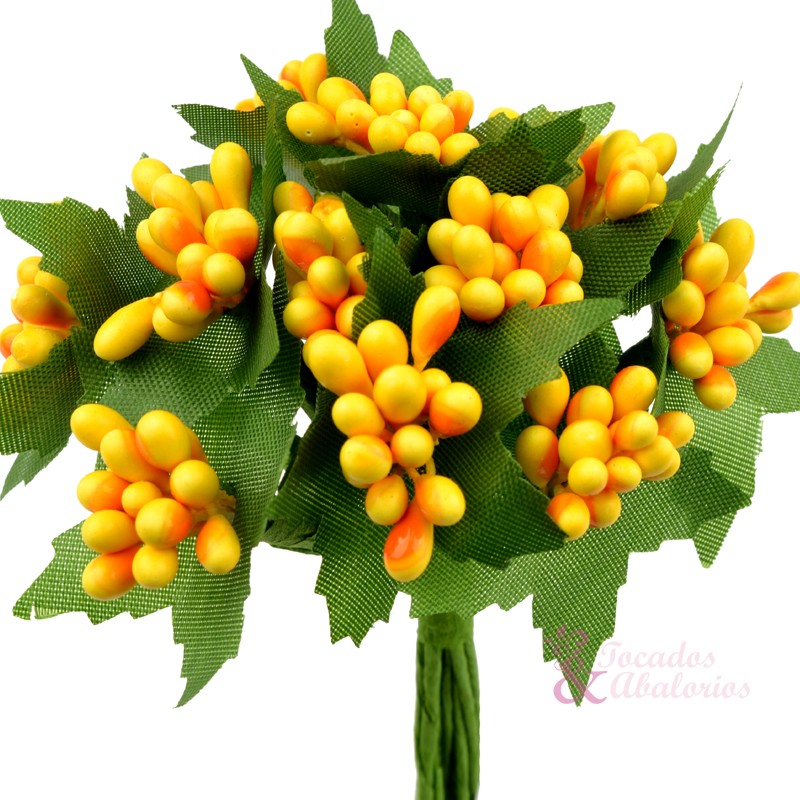 PISTILOS HALLE PISTILOS HALLE