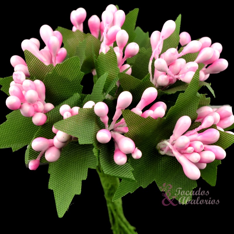 PISTILOS HALLE PISTILOS HALLE