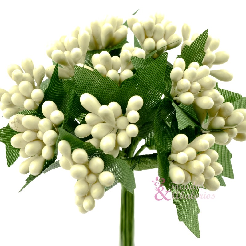 PISTILOS HALLE PISTILOS HALLE