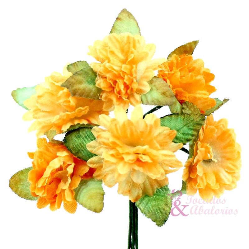 Ramillete Zinnia Ramillete Zinnia