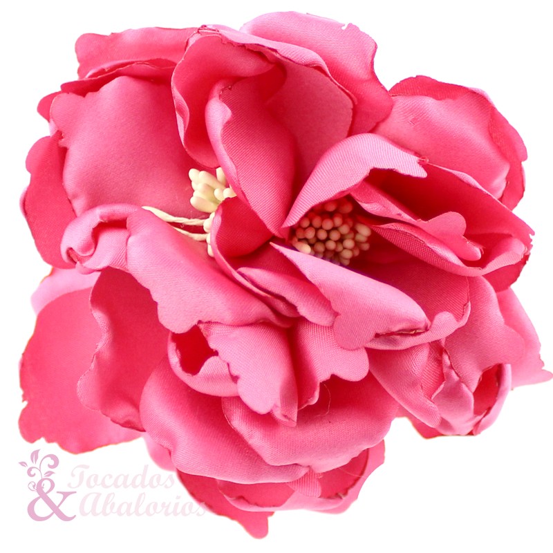 FLOR ECTACMEA FLOR ECTACMEA