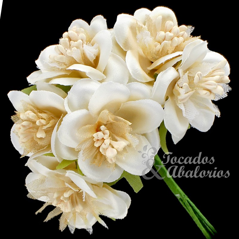 RAMILLETE MELISA RAMILLETE MELISA