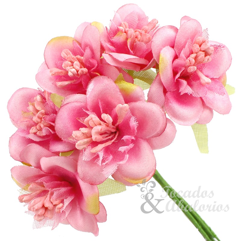 RAMILLETE MELISA RAMILLETE MELISA