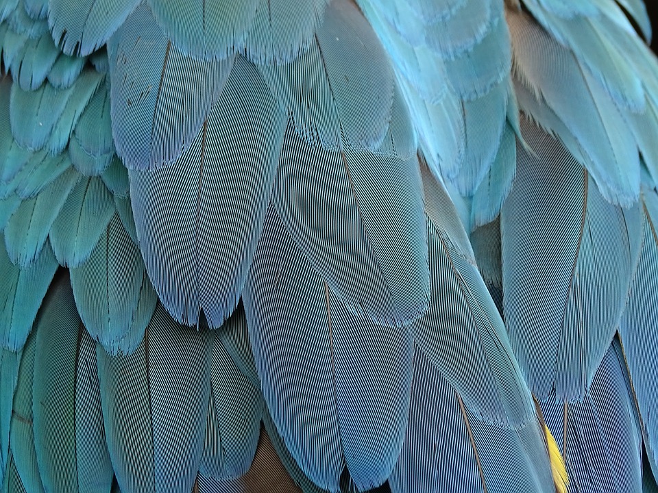 tocados para pelo corto