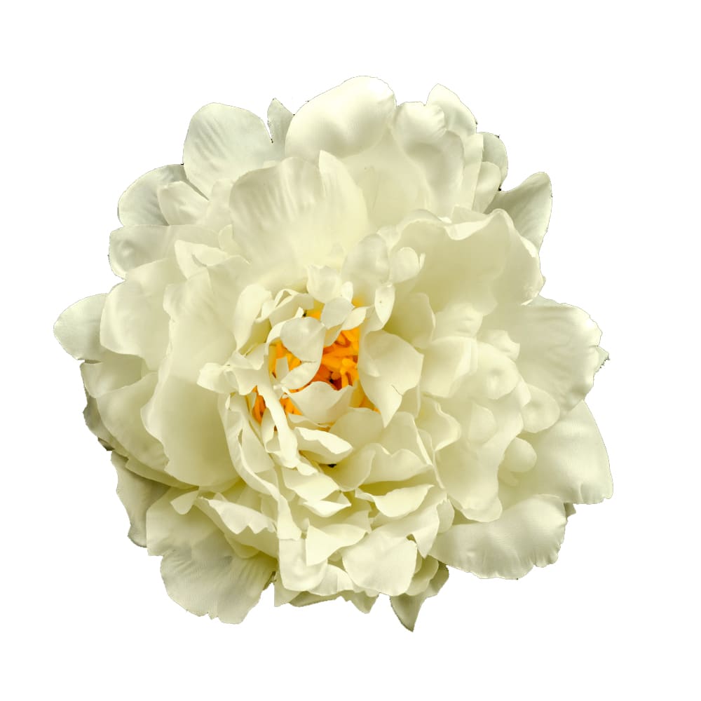 PEONÍA-AMBER-14-CM-crudo PEONÍA-AMBER-14-CM-crudo