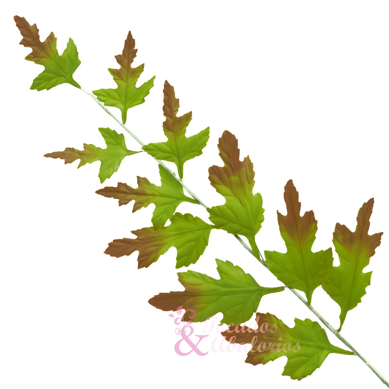 RAMA-DE-HOJAS-VERDES-Y-SECA