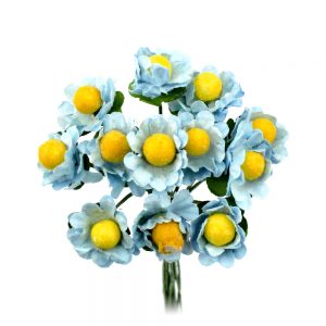 bouquet 12 mini marguerites bleu ciel clair