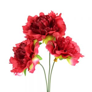 bouquet 3 petits oeillets rouge