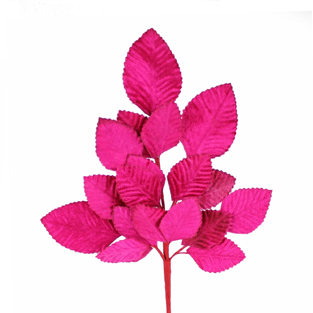 bouquet de feuilles dafne bougainvillea bouquet de feuilles dafne bougainvillea