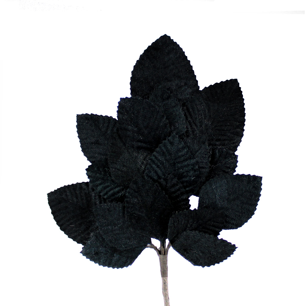 bouquet de feuilles dafne noir bouquet de feuilles dafne noir