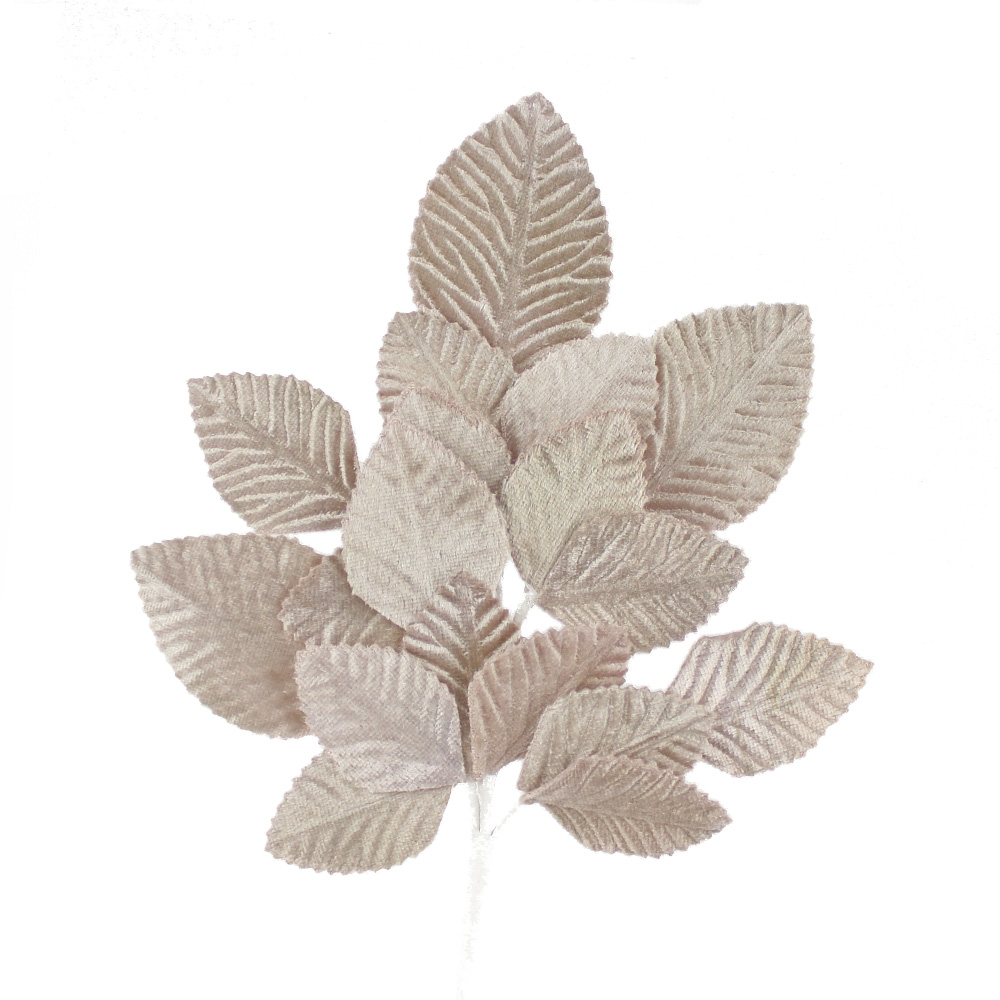 bouquet de feuilles dafne terre bouquet de feuilles dafne terre