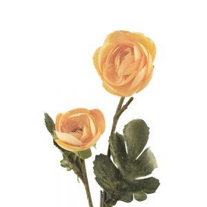 bouquet twin ambre