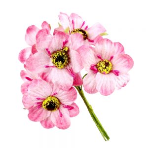 bouquet velvet rose bisque