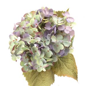 bouquet xxl hortensias fabiola lilas