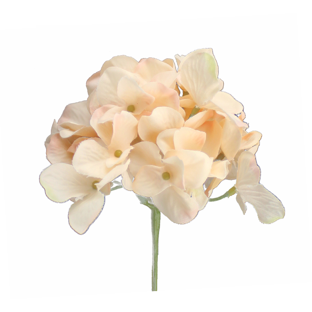 fleur alana saumon fleur alana saumon