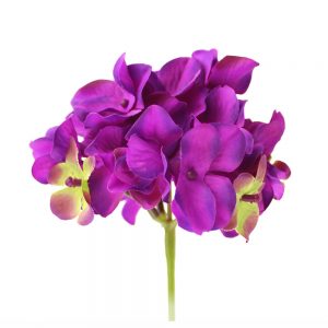 fleur alana violet 2
