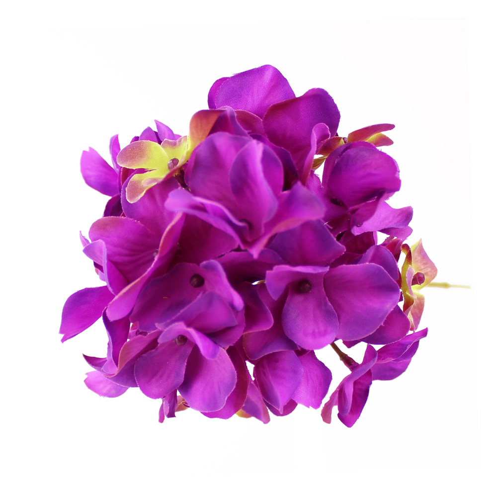 fleur alana violet fleur alana violet