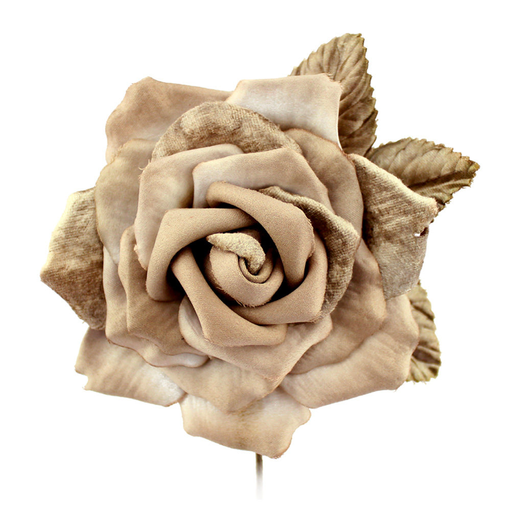 fleur hadar terre fleur hadar terre