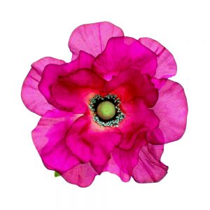 fleur santorini bougainvillea