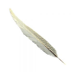 plume faisan argente 40 45 cm