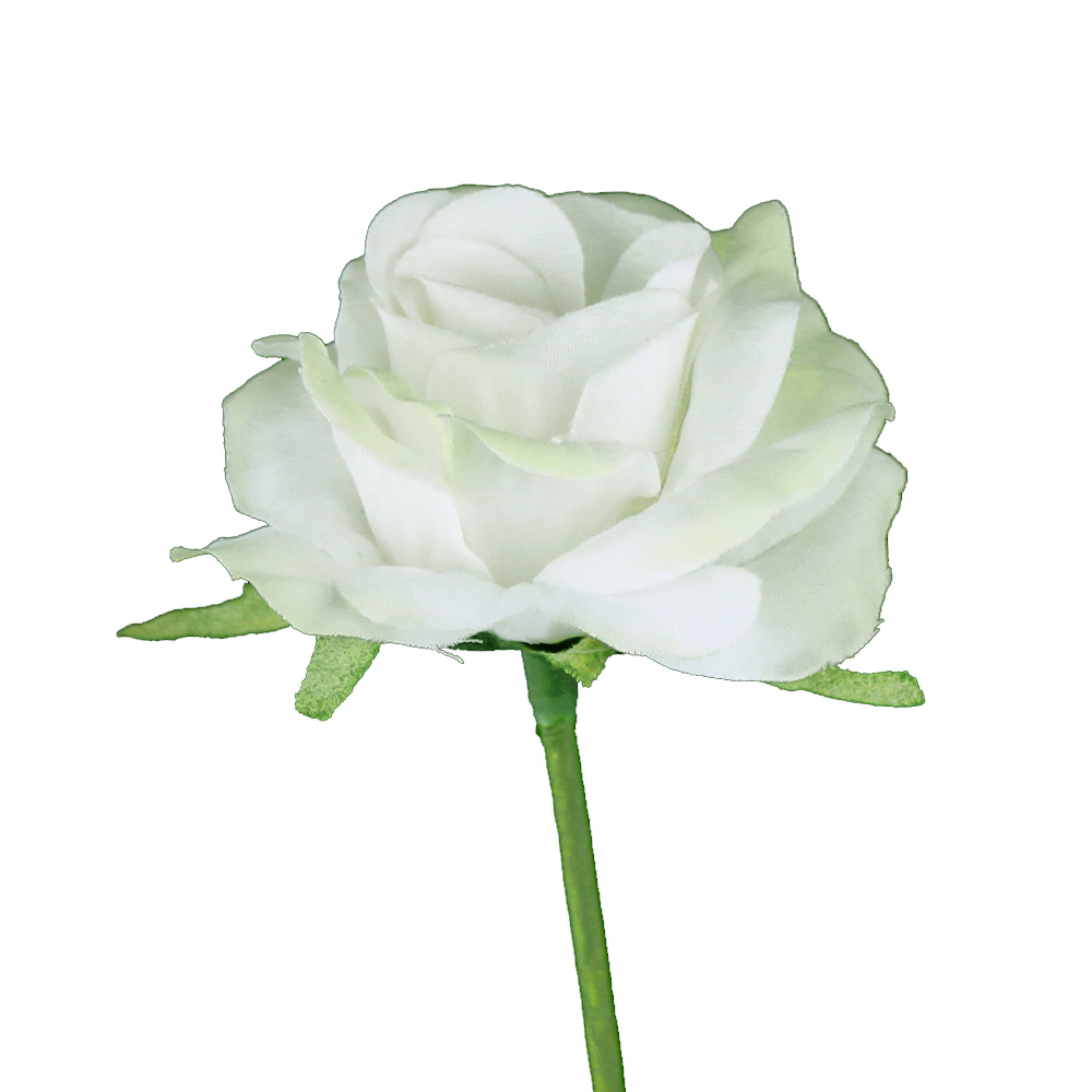 rose 05cm ecru rose 05cm ecru