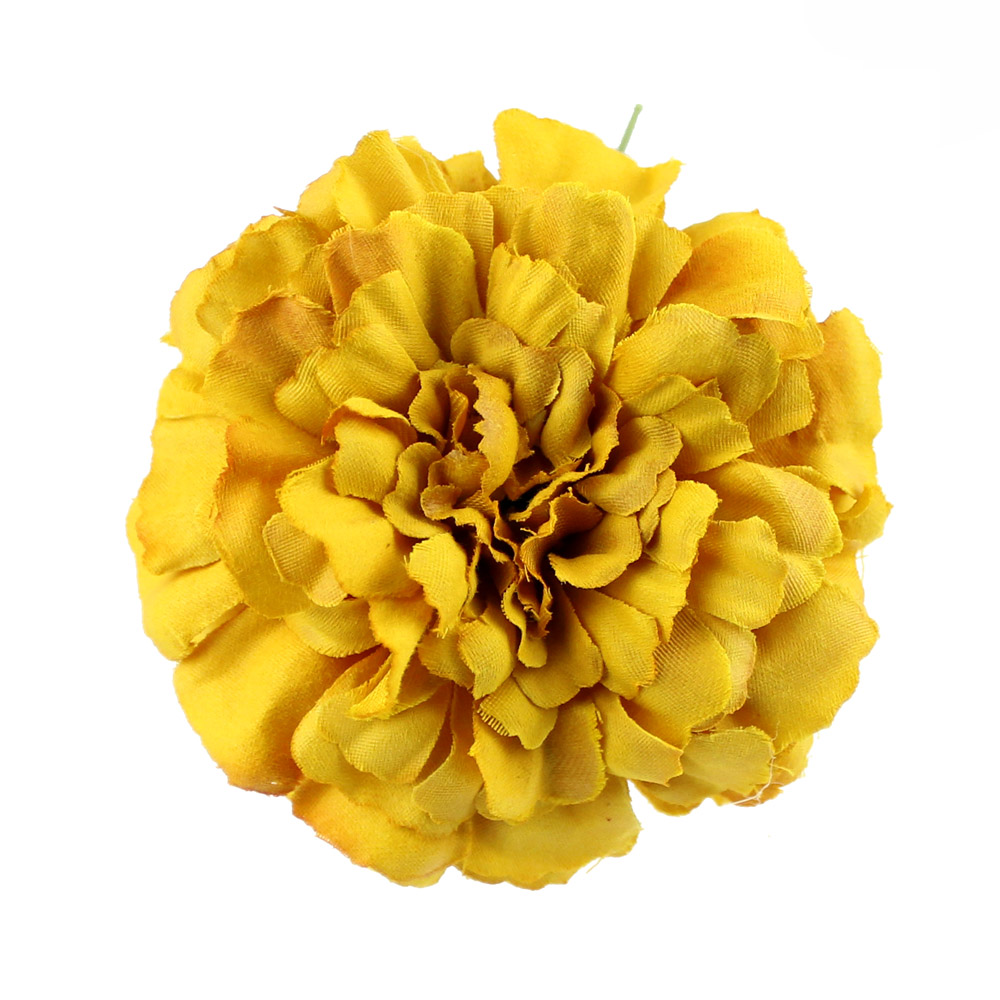 zinnia 07cm moutarde zinnia 07cm moutarde